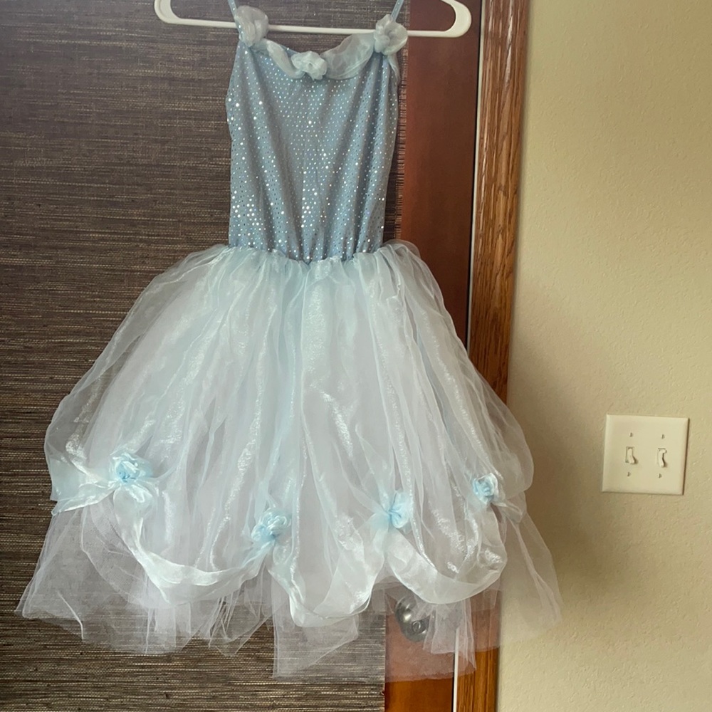Beautiful Weissman long Blue Tutu Costume, 10-12